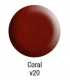 Lentil 5mm Tagua Seed Beads (200 units) 