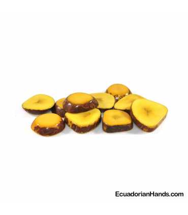 Slice Tagua Bead (20 units)