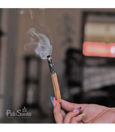 Palo Santo Wholesale Bundle: 3840 Sticks (24kg) + 1L Essential Oil | EcuadorianHands