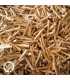 Palo Santo Sticks 16kg — 2880 Sticks Bulk Shops Pack | EcuadorianHands
