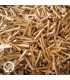 1280 Palo Santo Incense Sticks, Wholesale Bulk - (8) | Sustainably Harvested