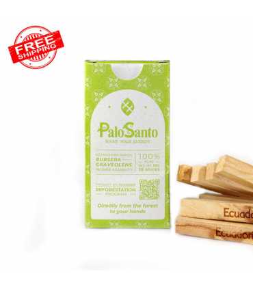 Palo Santo Incense Sticks for Smudging, 10-pack | Sustainably Harvested US
