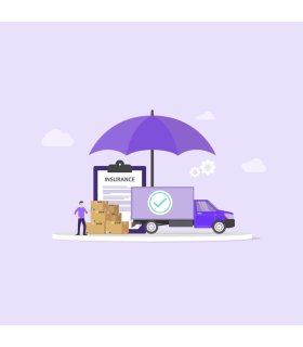 Seguro Couriers