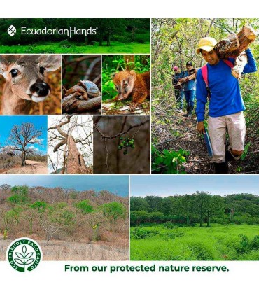 2 fundas Palo Santo Molido (125 g) + GRATIS 1 Pulsera de buenas vibras| EcuadorianHands