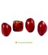 Tagua Rings (ASSORTED) Wholesale Tagua Jewelry | EcuadorianHands