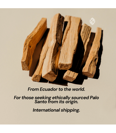 Palo Santo Incense Sticks 1kg | Ethically Sourced Ecuador | EcuadorianHands