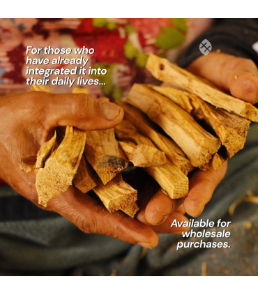 Palo Santo Incense Sticks 1kg | Ethically Sourced Ecuador | EcuadorianHands
