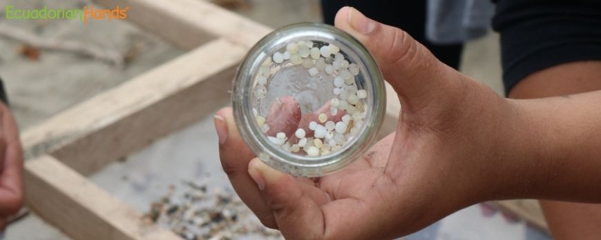 first-minga-2022-in-santa-marianita-manta-with-ecoplayas