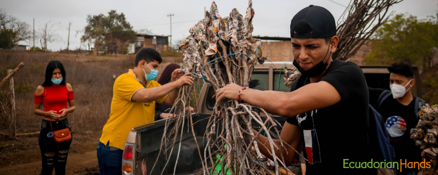 Reforestación de Palo Santo