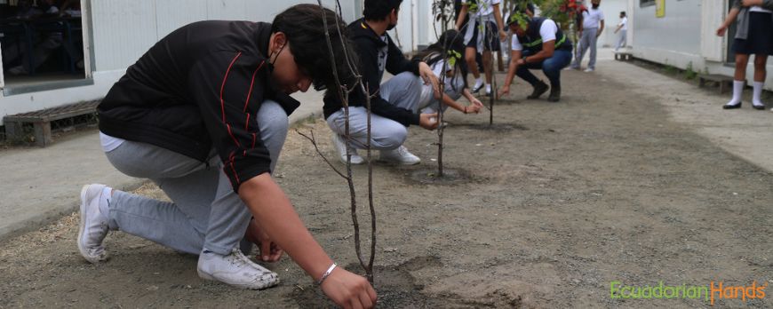 Fourth-Reforestation-of-50-trees