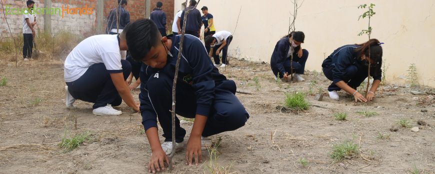 fifth-day-of-reforestation-in-2022