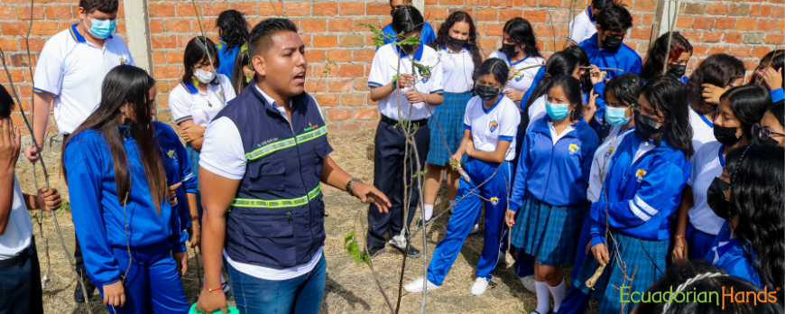 third-Reforestation-of-50-Palo-Santo-trees