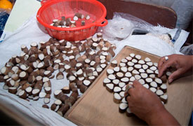 Ecuadorianhands-Tagua-manufacture-Nut-Selection.jpg