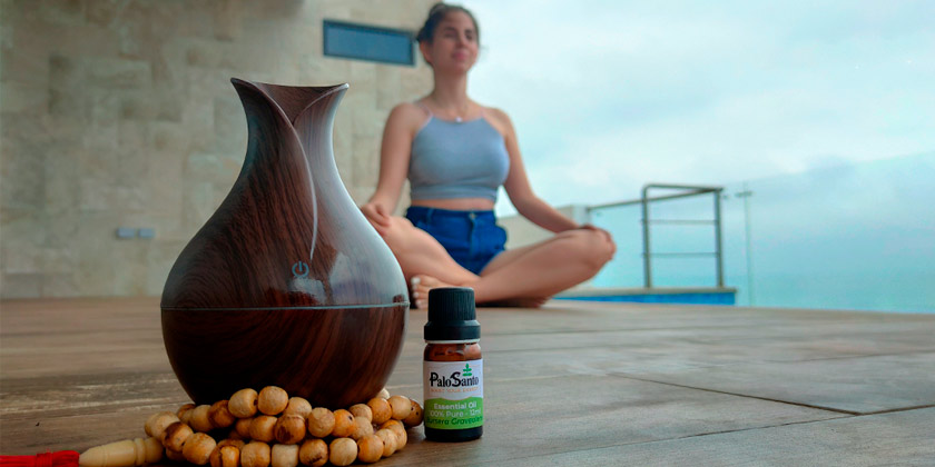 Palo Santo Essential Oil Bursera graveolens Origin Conscious Use and Aromatic Experience