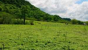 Environment