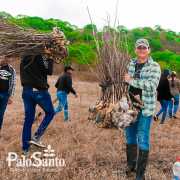 IT'S REFORESTATION TIME PALOSANTO