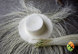 Procesos de preparación del sombrero Montecristi (Sombrero de Panamá)
