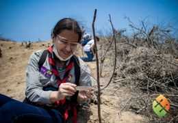 EcuadorianHands planta más árboles de Palo Santo en la comuna Ligüiqui en Ecuador