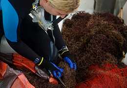 We removed 400 pounds of solid waste from our oceans