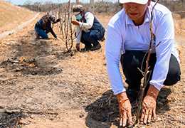 EcuadorianHands reforesta 100 árboles de Palo Santo en el Relleno Sanitario de Montecristi-Ecuador