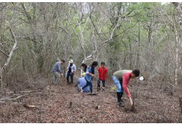 Composition and Tree Structure of a Dry Forest Fragment in the Ecuadorian Coast