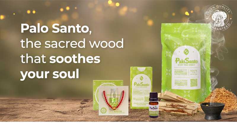 #PaloSantoDoneRight More than 11.500 planted trees since 2015 Experience Palo Santo, Plant more trees!